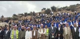 جذور خضراء في أرض مقدسة.. أشجار البلوط تزين جبل لالش بجهود مؤسسة روانكه